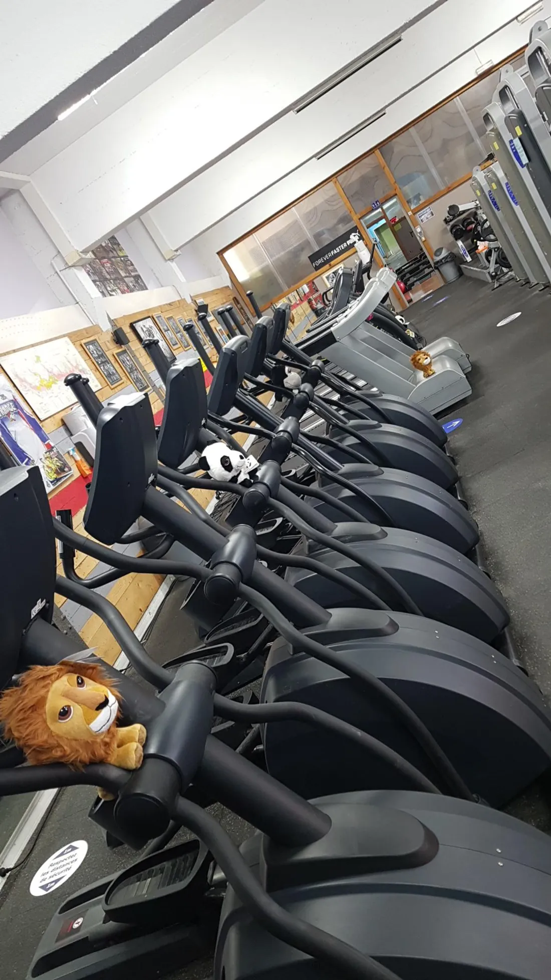 Comme ici chez « Athletic Gym », à Dijon, toutes les salles de sport rouvrent ce mercredi